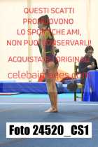 24520_CS1-