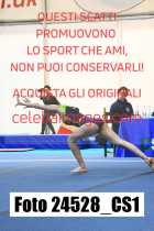 24528_CS1-