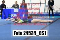 24534_CS1-