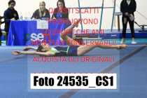 24535_CS1-