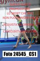 24545_CS1-