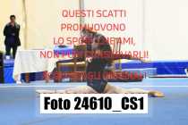 24610_CS1-
