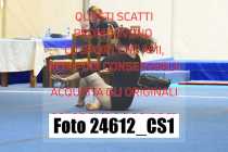 24612_CS1-