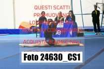 24630_CS1-