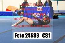 24633_CS1-
