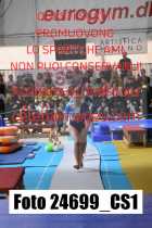24699_CS1-