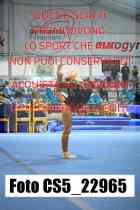CS5_22965-