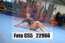 CS5_22966-