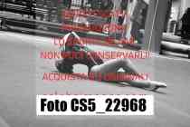 CS5_22968-