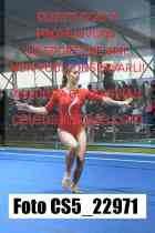 CS5_22971-