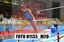 01133_M20